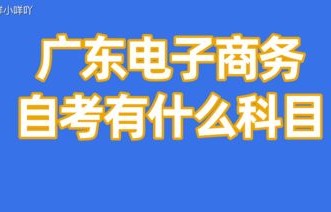 电子商务考哪些专业好