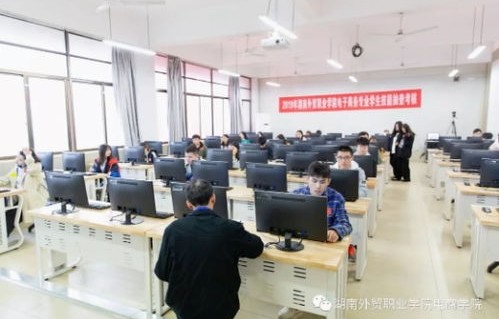 电子商务专业技能实习