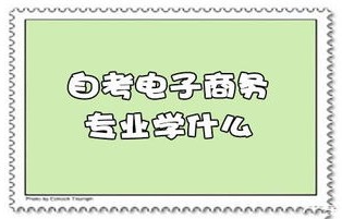 电子商务专业转学难吗