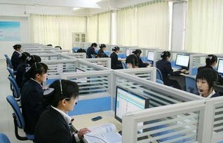电子商务网络专业就业
