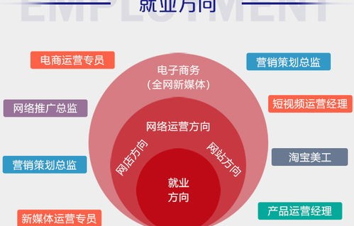 专业电子商务的就业方向