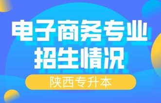 电子商务专业专升本数学