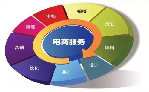 电子商务需求什么专业