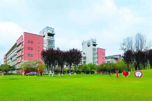 黄山电子商务专业的大学