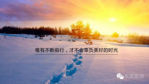 毛不易冬至之夜，广州的雪