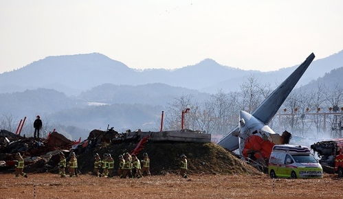 韩国空难细节披露：二次着陆时坠毁