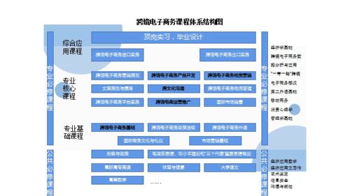 跨境电子商务专业类目