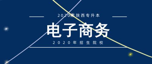 安徽专升本电子商务专业