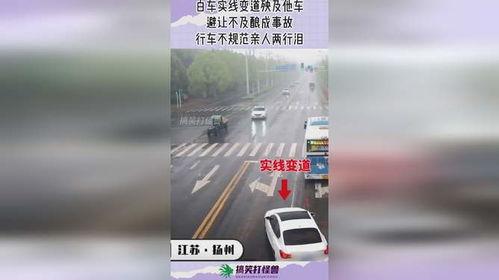 小车实线变道 大巴车避让不及酿事故