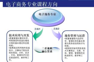 电子商务考试专业分类