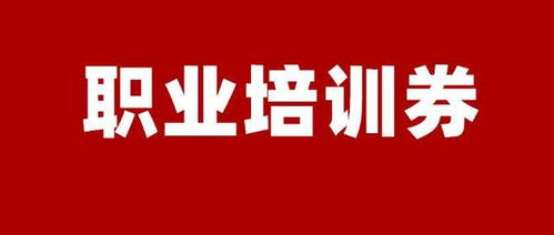 书记强调，DeepSeek技能培训，人人必学！