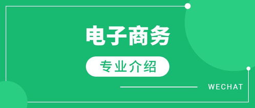 电子商务专业建议报考