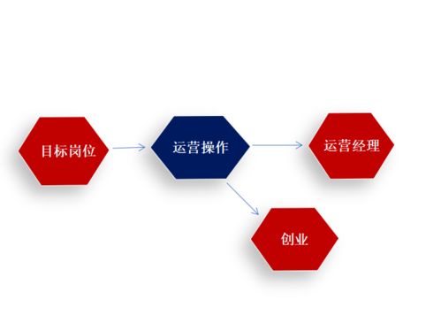 头疼的跨境电子商务专业