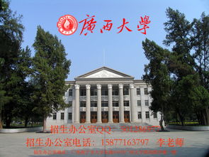 广西大学 电子商务专业