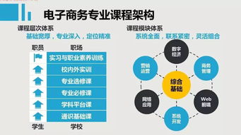 电子商务专业主要技能